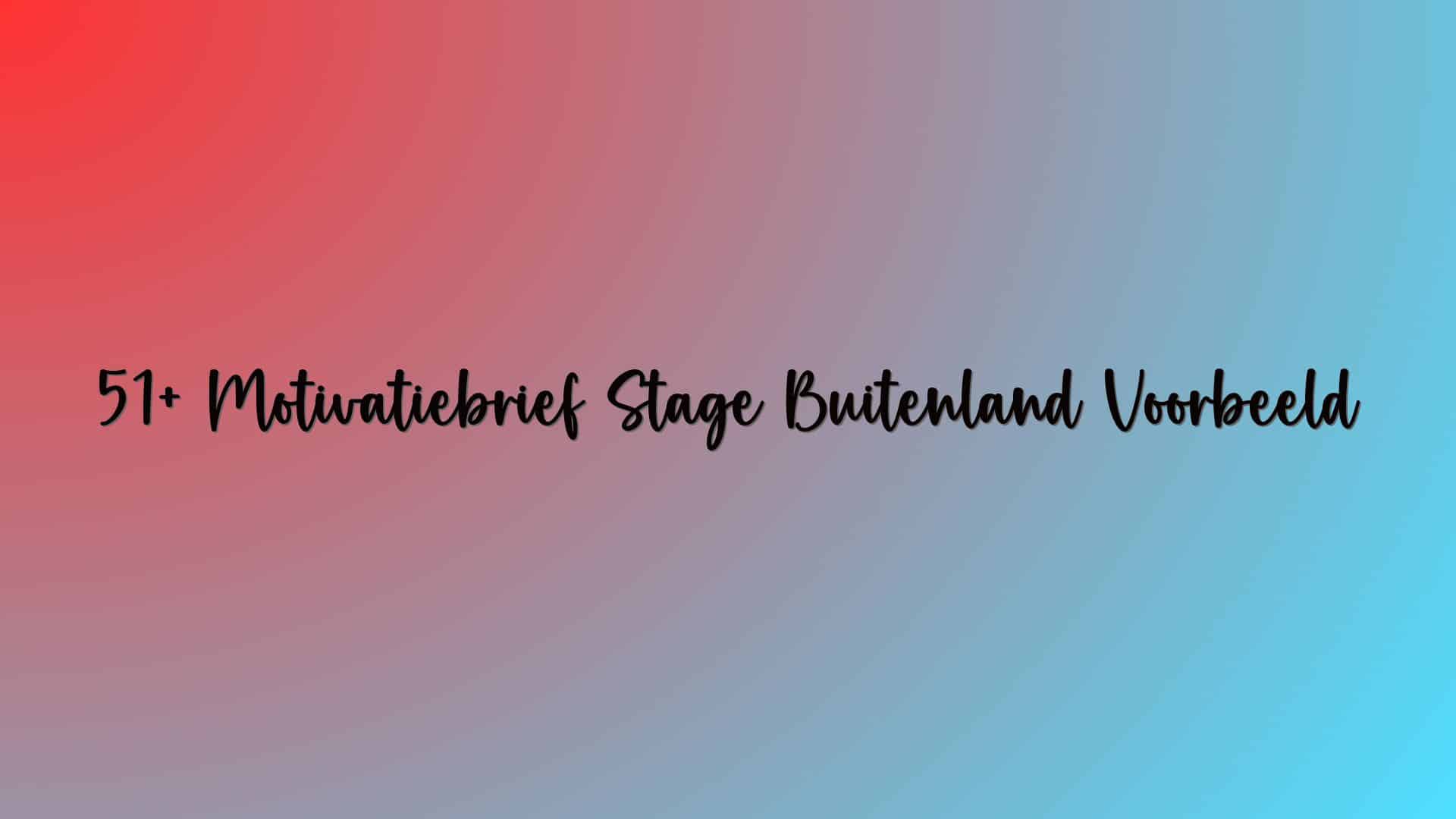 51+ Motivatiebrief Stage Buitenland Voorbeeld
